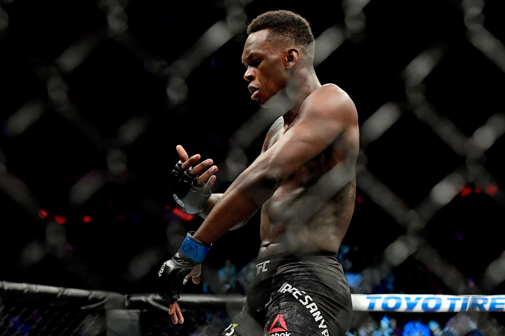Israel Adesanya Rorschach, Too Much of a Good Thing or Lizzo of the Octagon, Photo, Steven Ryann Getty Images